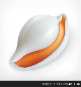 White shell, vector icon
