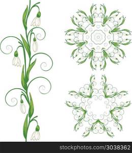 White Snowdrop Flowers. Blooming spring flowers white snowdrop with green leaves illustration.