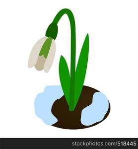 White snowdrop icon in isometric 3d style on a white background. White snowdrop icon, isometric 3d style