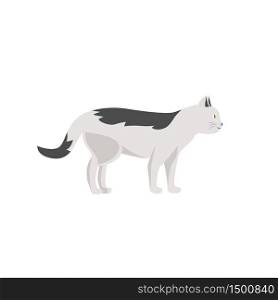 White striped cat flat color vector character. Domestic animal walk. Pet care and daycare. Grooming salon mascot. Kitten isolated cartoon illustration for web graphic design and animation. White striped cat flat color vector character