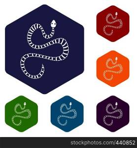 White striped snake icons set hexagon isolated vector illustration. White striped snake icons set hexagon