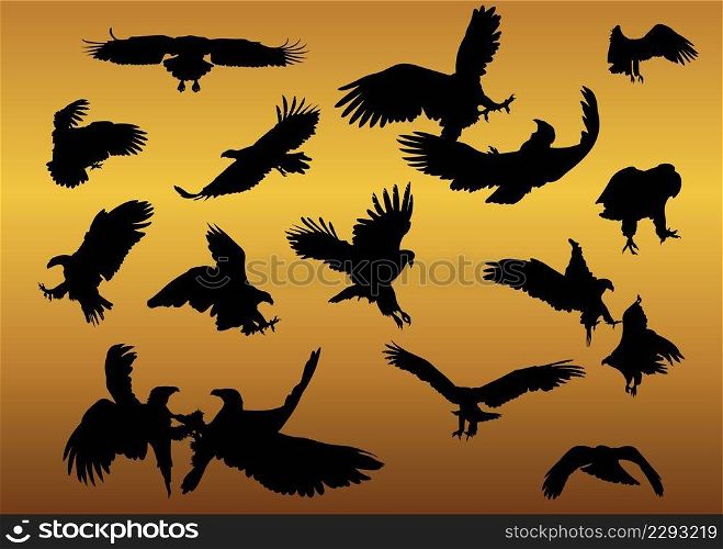 White-tailed eagle in flight silhouettes vector set