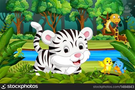 White Tiger in the forest