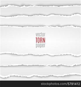White torn paper. Vector illustration white torn paper. Template background