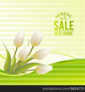 White tulip spring flowers bouquet for sale. Vector illustration.