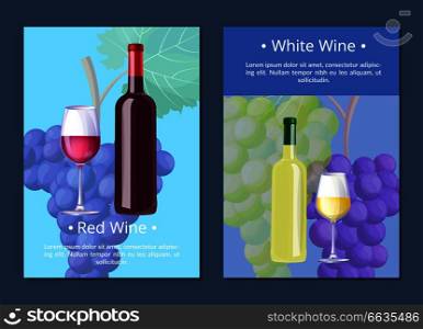 White wine poster with text sample in form of explanation and pictures of bottle and glass, grapes on background on vector illustration. White Wine Poster with Text on Vector Illustration
