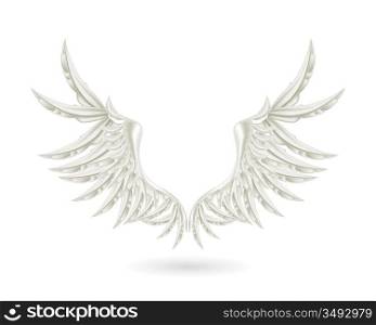 White wings, vector