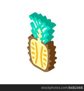 whole cut pineapple isometric icon vector. whole cut pineapple sign. isolated symbol illustration. whole cut pineapple isometric icon vector illustration