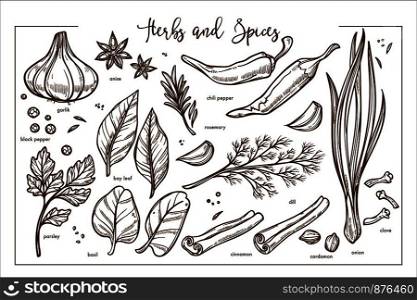 Whole garlic, black and chili pepper, exotic anise, dry bay leaf, parsley branch, fresh basil, picant rosemary, fluffy dill, tasty cinnamon, green onion, cardamon and clove seeds vector illustrations.. Fresh fragrant natural herbs and spices monochrome collection