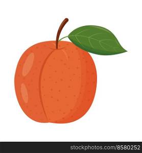Whole orange peach with green leaf isolated on white background. Flat vector illustration.. Whole orange peach with green leaf isolated on white background. Flat vector illustration