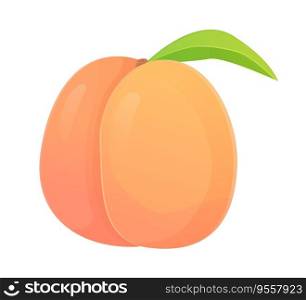 Whole peach fruit. Can be used for healthy diet, harvest natural eco food concept. Stock vector illustration in realistic cartoon style.. Whole peach fruit. Can be used for healthy diet, harvest natural eco food concept. Stock vector illustration in realistic cartoon style