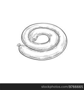 Whole thick sausage isolated meat ring sketch. Vector beef or pork sausage. Butchery food, thick whole sausage isolated roll
