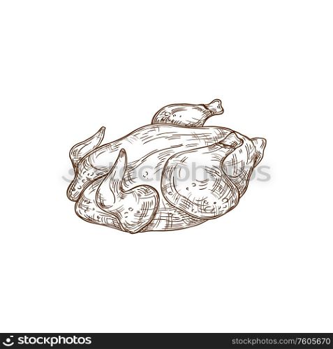 Whole turkey isolated poultry food. Vector monochrome sketch of chicken or goose. Chicken, duck, goose, turkey body isolated sketch