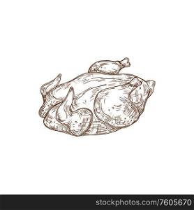 Whole turkey isolated poultry food. Vector monochrome sketch of chicken or goose. Chicken, duck, goose, turkey body isolated sketch