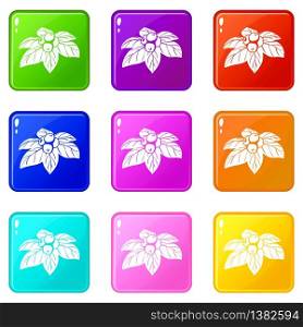 Whortleberries icons set 9 color collection isolated on white for any design. Whortleberries icons set 9 color collection