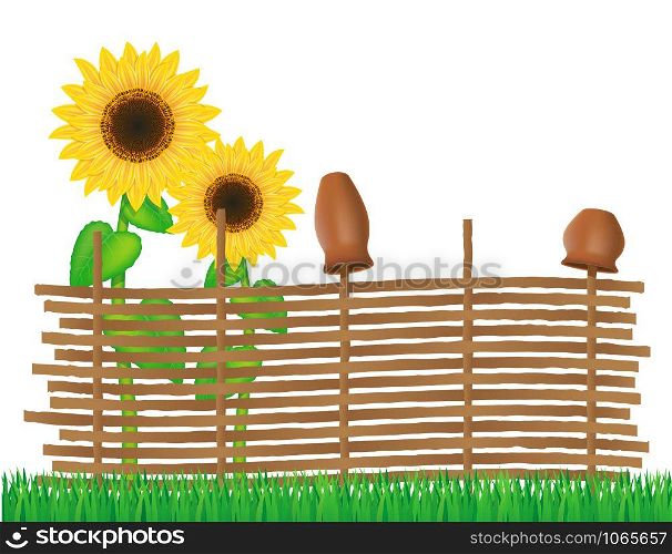 wicker fence of twigs with sunflowers vector illustration isolated on white background