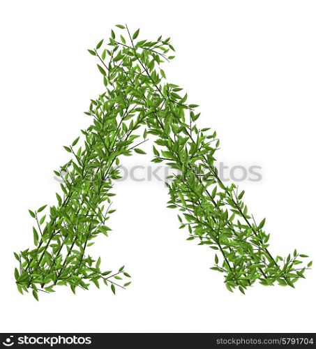 Wickiup Hut of Branches Bamboo with Green Leafs - vector