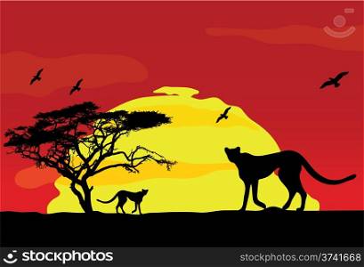 wild african animals at sunset, vector