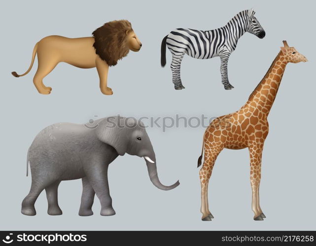 Wild african animals. Lion elephant zebra giraffe safari travelling outdoor collection decent vector realistic animals. Lion and giraffe, zebra and elephant, wild zoo illustration. Wild african animals. Lion elephant zebra giraffe safari travelling outdoor collection decent vector realistic animals