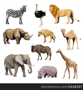 Wild african animals set with zebra ostrich lion rhinoceros isolated vector illustration. Wild African Animals Set
