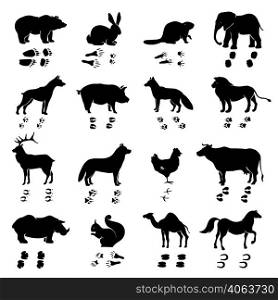 Wild and domestic animals and birds silhouettes with their tracks monochrome set isolated on white background flat vector illustration. Animals Silhouettes And Tracks Set