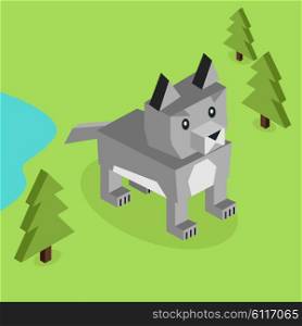 Wild animal wolf isometric 3d design. Wild and animal, wild animals isolated, wolf isometric, zoo wolf wild animal, wolf nature, wildlife flat animal wolf icon, forest wild animal vector illustration