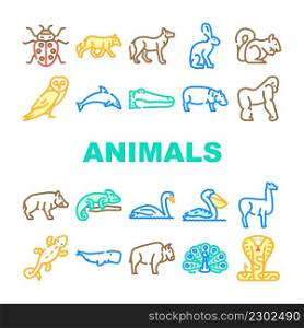 Wild Animals, Birds And Insects Icons Set Vector. Alligator Reptile And Cobra Snake, Hippopotamus And Dolphin Marine Mammal Animals, Squirrel And Chameleon Line. Color Illustrations. Wild Animals, Birds And Insects Icons Set Vector