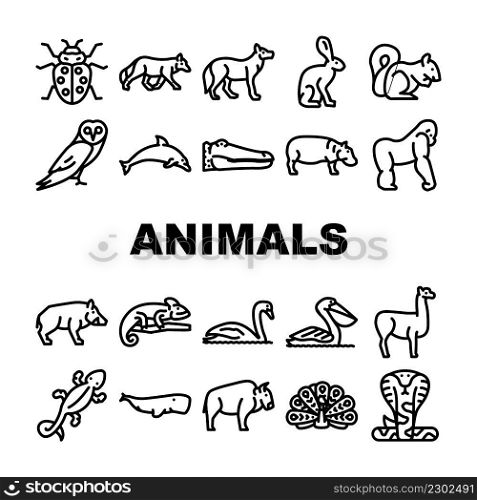 Wild Animals, Birds And Insects Icons Set Vector. Alligator Reptile And Cobra Snake, Hippopotamus And Dolphin Marine Mammal Animals, Squirrel And Chameleon Black Contour Illustrations. Wild Animals, Birds And Insects Icons Set Vector