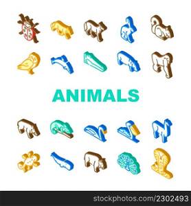 Wild Animals, Birds And Insects Icons Set Vector. Alligator Reptile And Cobra Snake, Hippopotamus And Dolphin Marine Mammal Animals, Squirrel And Chameleon Isometric Sign Color Illustrations. Wild Animals, Birds And Insects Icons Set Vector