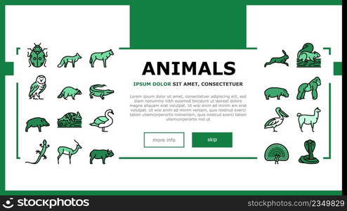 Wild Animals, Bugs And Birds Landing Web Page Header Banner Template Vector. Alligator Reptile And Cobra Snake, Lama And Antelope, Gorilla And Hippopotamus Wild Animals Line. Chameleon Illustration. Wild Animals, Bugs And Birds Landing Header Vector