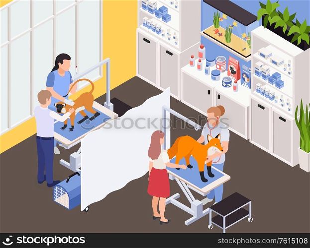 Wild animals exotic pets vet clinic interior isometric composition with veterinarians treating monkey and fox vector illustration