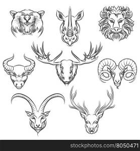 Wild animals heads, hand drawn icons. Rhino and leopard, bull and deer, lion and ram heads. Vector illustration