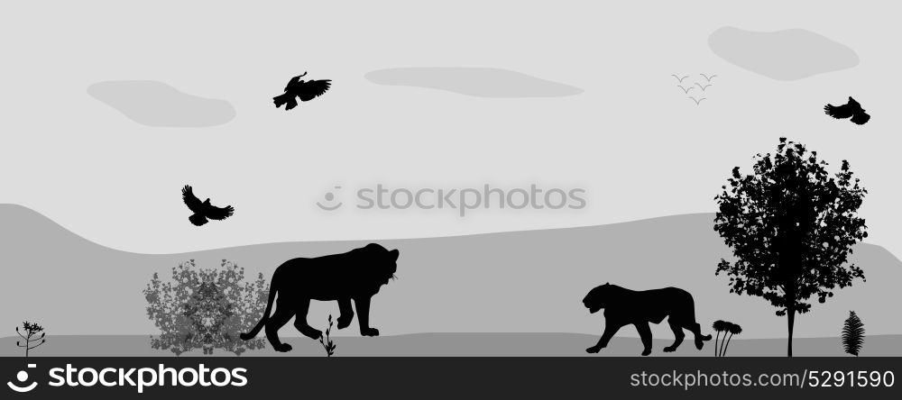 Wild Animals on the Prowl. Vector Illustration. EPS10. Wild Animals on the Prowl. Vector Illustration.