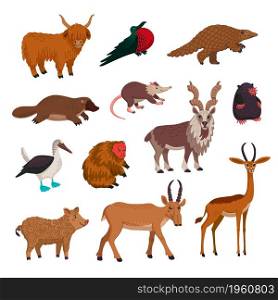 Wild animsls vector set, rare endandered animals. Flat style cartoon Vector illustration. Wild animsls vector set, rare endandered animals. Flat style cartoon Vector illustration.