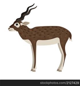 Wild antelope. Cartoon horned animal, elements of hunting trophy, fast beast of wildlife, vector illustration of blackbuck isolated on white background. Cartoon wild antelope