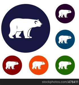 Wild bear icons set in flat circle red, blue and green color for web. Wild bear icons set
