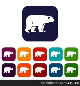 Wild bear icons set vector illustration in flat style In colors red, blue, green and other. Wild bear icons set flat