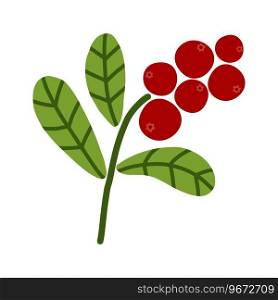 Wild berries cranberry bush with green leaves. Cartoon vector illustration on white background