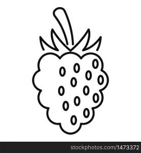 Wild blackberry icon. Outline wild blackberry vector icon for web design isolated on white background. Wild blackberry icon, outline style