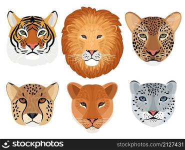 Wild cat head set. Hunting trophy, lion and tiger, leopard and snow leopard, cheetah front face of wildcats, vector illustration of aggressive beasts heads isolated on white background. Wild cat head set