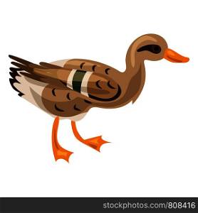 Wild duck icon. Cartoon of wild duck vector icon for web design isolated on white background. Wild duck icon, cartoon style