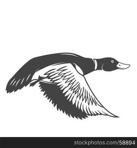 Wild duck icon isolated on white background. Design elements for logo, label, emblem, sign. Vector illustration