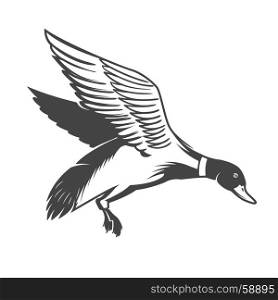 Wild duck icon isolated on white background. Design elements for logo, label, emblem, sign. Vector illustration