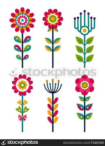 Wild field flowers in colorful ornamental design set. Unusual florets of bright pieces. Plant with blossom on long stem isolated vector illustrations. Wild Field Flowers in Colorful Ornamental Design