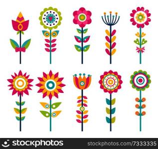 Wild field flowers in colorful ornamental design set. Unusual flowers of bright pieces. Plant with blossom on long stem isolated vector illustrations.. Wild Field Flowers in Colorful Ornamental Design