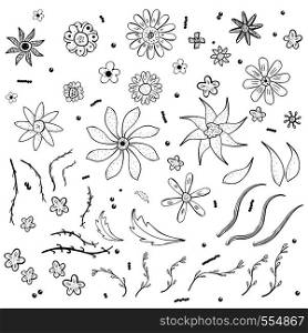 Wild flowers and leaves collection. Hand drawn style. Vector ilustration.