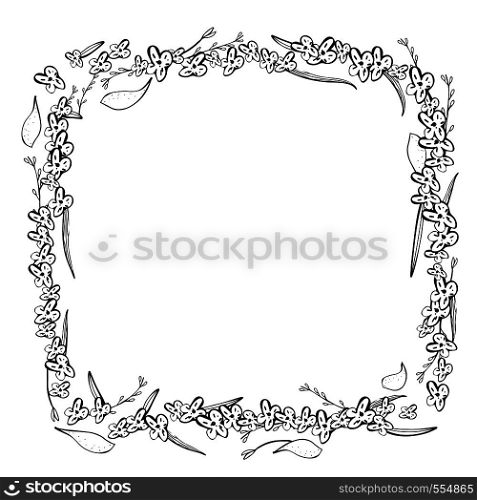 Wild flowers and leaves square frame. Hand drawn style composition. Vector ilustration.