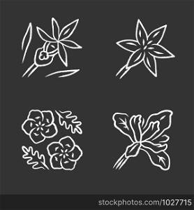 Wild flowers chalk icons set. Common star lily, calypso orchid, baby blue eyes, douglas iris. Blooming wildflowers, weed. Spring plants blossom. Isolated vector chalkboard illustrations