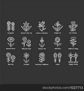 Wild flowers chalk icons set. Spring blossom. California wildflowers with names. Garden blooming plants. Botanical bundle. Meadow and field weed. Isolated vector chalkboard illustrations