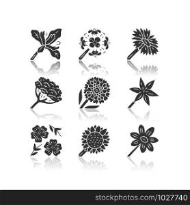 Wild flowers drop shadow black glyph icons set. Douglas iris, franciscan wallflower, cow parsnip, candytuft, common star lily, blue flax, helianthus, coreopsis. Isolated vector illustrations